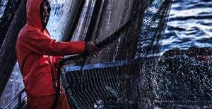 FEDAGRIPESCA, BENE 100 MLN CDM MA PER CICLONE HARRY DANNI ALLA PESCA FINO A 40 MLN